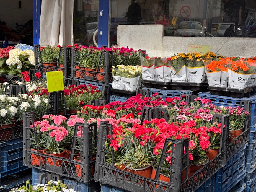 An outdoor display of Potted flowering plants arranged in black plastic crates, featuring vibrant pink, red, white, and orange blooms, including carnations and marigolds, displayed on blue stacking pa