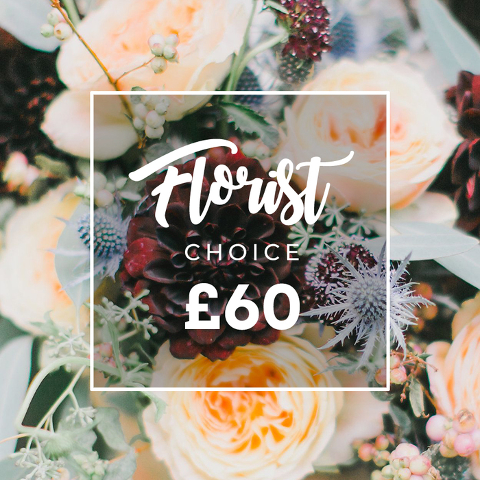 This image presents a composed, abundant bouquet that balances opulence with restraint: a centre-stage deep burgundy dahlia, petals packed like velvet, is offset by a chorus of garden roses in creamy ivory, peach and soft apricot whose layered petals suggest both warmth and tenderness. Interspersed among these are striking sea holly (eryngium) heads in steely blue, their pointed texture cutting a modern line through the otherwise romantic palette, while small pale green or white hypericum berries add a delicate dotted rhythm. Eucalyptus sprigs and varied leafy greens - some frosted and silvered, some deep olive - cascade gently, giving the arrangement an artisanal, hand-gathered silhouette. Soft, directional lighting brings out the tactile differences: the smooth sheen of leaves, the ruffled thickness of rose petals and the structural complexity of the thistles, creating shadows and highlights that feel like late-afternoon sun on the steps of a Peckham terrace. A white square frame with rounded corners sits over the centre; within it, flowing lettering reads Florist, a smaller uppercase CHOICE follows, and a bold price indicator ?60 completes the composition, the pale graphic element ensuring the message remains legible against the darker florals. This bouquet reads as a considered, multi-purpose design - suited to anniversaries, warm congratulations, or a comforting gesture - and evokes the confident curation you'd expect from a Peckham florist assembling seasonal stems with care and an eye for texture and scent.